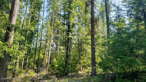 855 Meadowood Rd, Sandpoint, ID 83864 photo 35