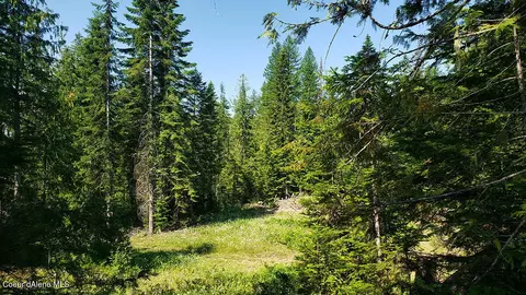 855 Meadowood Rd, Sandpoint, ID 83864 photo 30