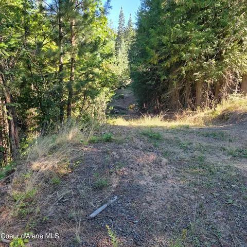 Nka Hells Gulch, Saint Maries, ID 83861