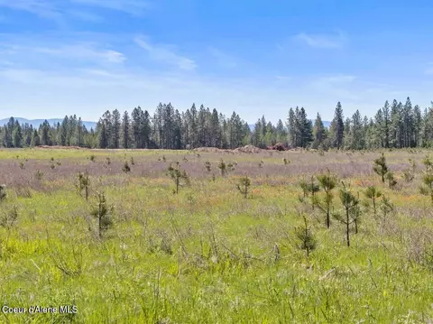 Other - 3 Ellington Ct, Athol, ID 83801 photo 9 of 10