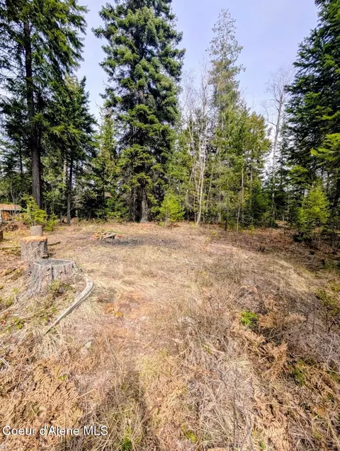 Exterior - 845 Cougar Rd, Naples, ID 83847 photo 17 of 20