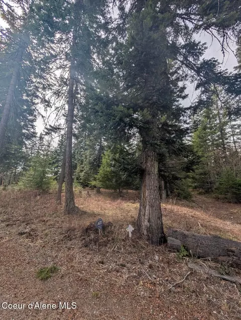 Other - 845 Cougar Rd, Naples, ID 83847 photo 20 of 22