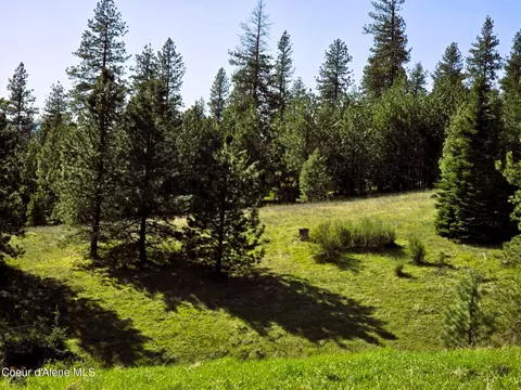 Nka Emerald Dr, Harrison, ID 83833 photo 9