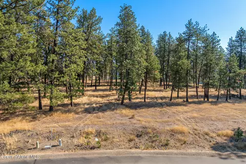 6446 S Old Barn Rd, Harrison, ID 83833 photo 6