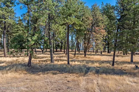 6446 S Old Barn Rd, Harrison, ID 83833 photo 7