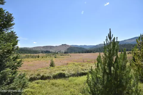5 Carpenter Creek Road, Fernwood, ID 83830