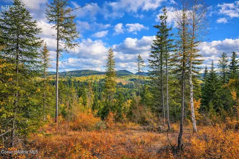 Nka 40-ac Crosswhite Rd, Careywood, ID 83809