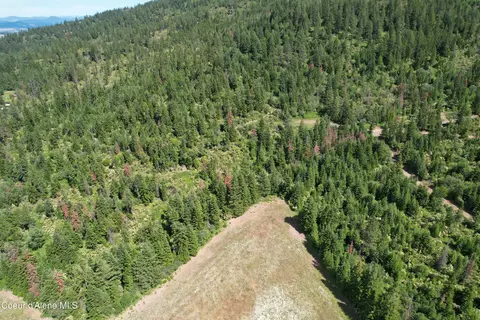 Tract 5 Thimbleberry Ln, Plummer, ID 83851 photo 24