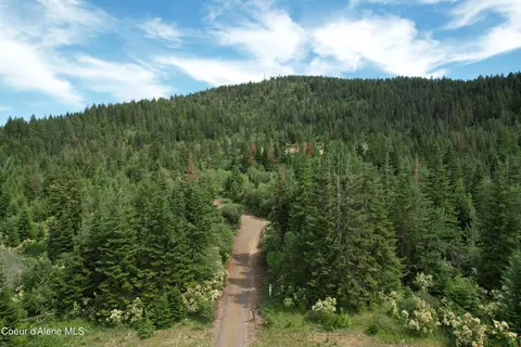 Tract 5 Thimbleberry Ln, Plummer, ID 83851 photo 4