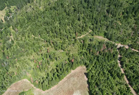 Tract 5 Thimbleberry Ln, Plummer, ID 83851 photo 2
