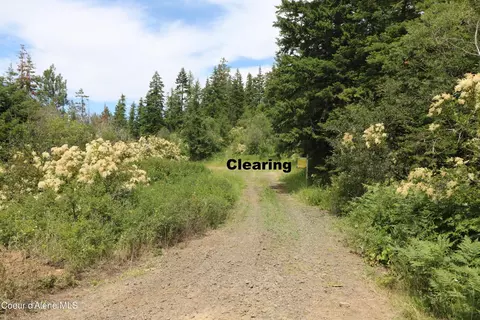 Tract 5 Thimbleberry Ln, Plummer, ID 83851 photo 10