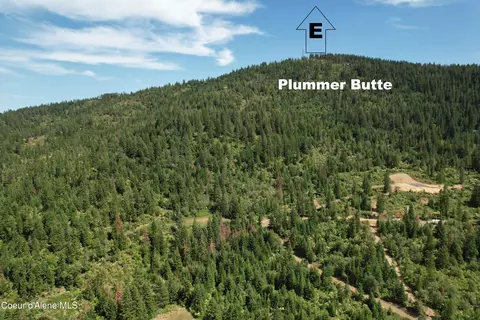 Tract 5 Thimbleberry Ln, Plummer, ID 83851 photo 23