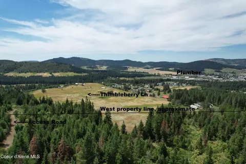 Tract 5 Thimbleberry Ln, Plummer, ID 83851 photo 13