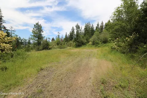 Tract 5 Thimbleberry Ln, Plummer, ID 83851 photo 11