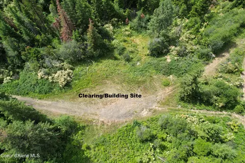 Tract 5 Thimbleberry Ln, Plummer, ID 83851 photo 12