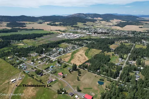 Tract 5 Thimbleberry Ln, Plummer, ID 83851 photo 16