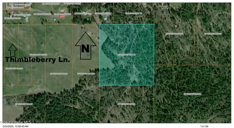 Tract 5 Thimbleberry Ln, Plummer, ID 83851