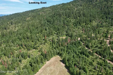 Tract 5 Thimbleberry Ln, Plummer, ID 83851 photo 21