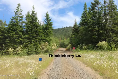 Tract 5 Thimbleberry Ln, Plummer, ID 83851 photo 3