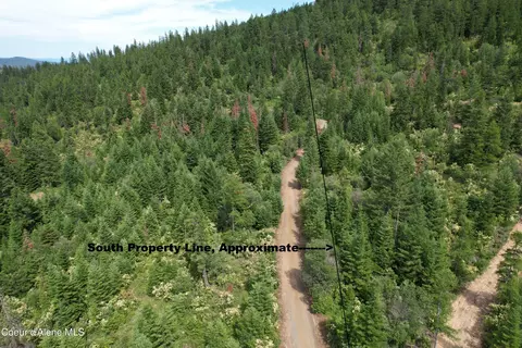 Tract 5 Thimbleberry Ln, Plummer, ID 83851 photo 6