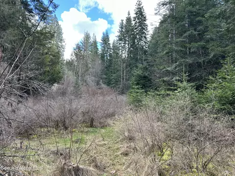 Nna E Bell Canyon Rd, Harrison, ID 83833 photo 18