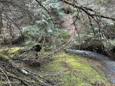Nna E Bell Canyon Rd, Harrison, ID 83833