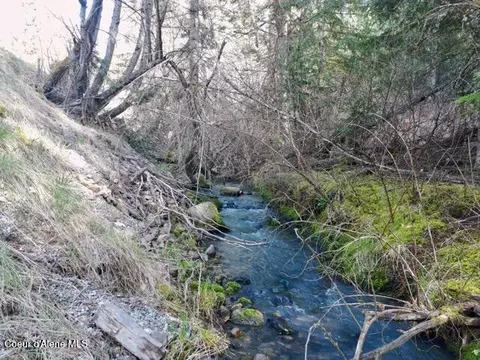 Nna E Bell Canyon Rd, Harrison, ID 83833 photo 8