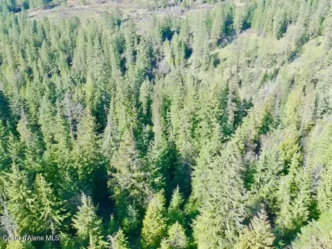 Nna E Bell Canyon Rd, Harrison, ID 83833 photo 9