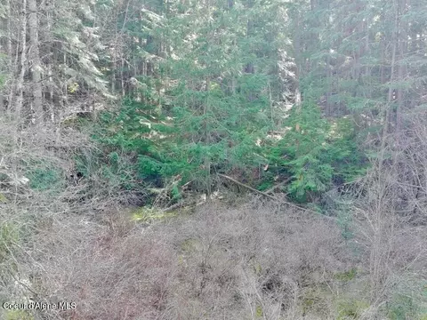 Nna E Bell Canyon Rd, Harrison, ID 83833 photo 10