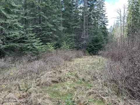 Nna E Bell Canyon Rd, Harrison, ID 83833 photo 17