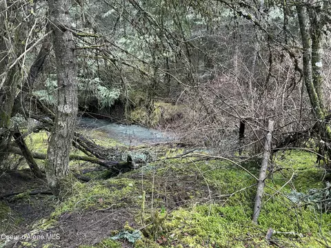 Nna E Bell Canyon Rd, Harrison, ID 83833