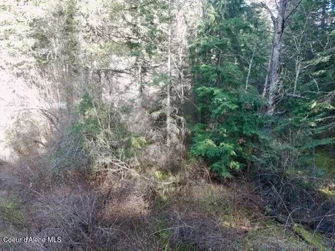 Nna E Bell Canyon Rd, Harrison, ID 83833 photo 11