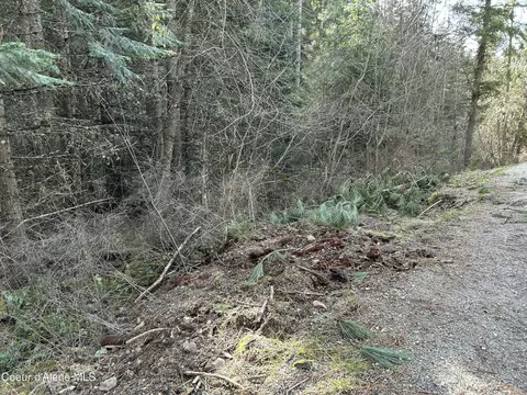 Nna E Bell Canyon Rd, Harrison, ID 83833 photo 19