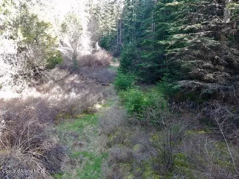 Nna E Bell Canyon Rd, Harrison, ID 83833 photo 12