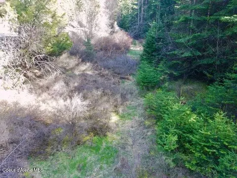 Nna E Bell Canyon Rd, Harrison, ID 83833 photo 13