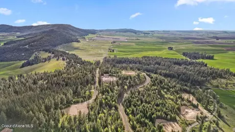 lot12 Lone Moose Dr, Plummer, ID 83851 photo 7
