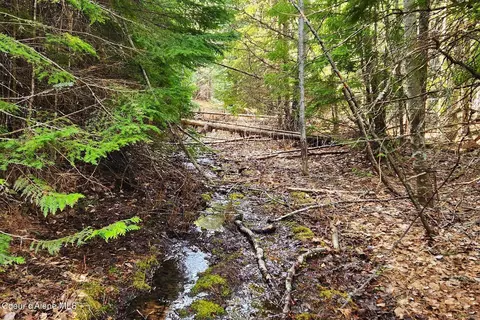 718 Slippery Slope #LOT 2, Priest River, ID 83856