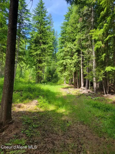 17 Christmas Lane, Naples, ID 83847