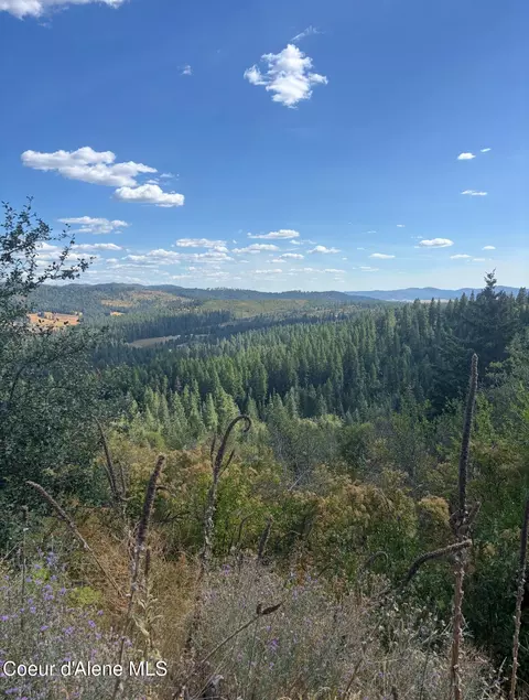 14 1475 Acre 75 Acre Treetop Ln Parcel 2 Ln Parcel 2, Plummer, ID 83851