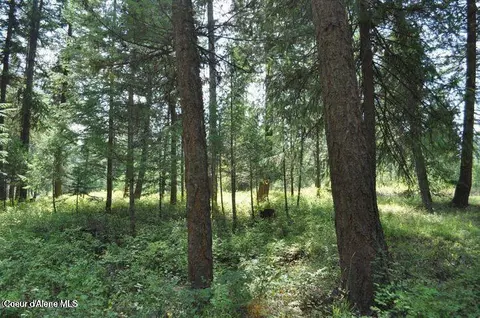 39 Forest Ridge Rd, Blanchard, ID 83804