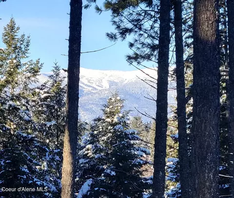 Wildflower Way, Sandpoint, ID 83864