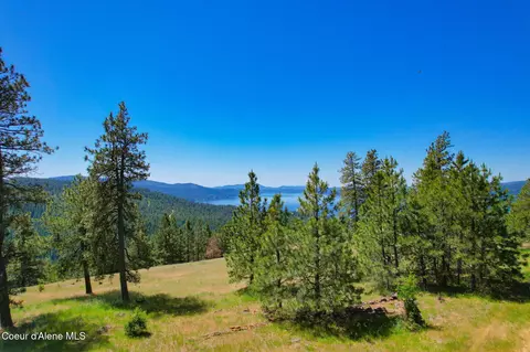 Nka 1a S Skyview Rd, Harrison, ID 83833