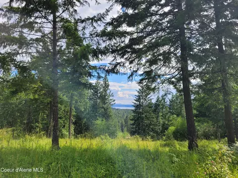 Nka S Skyview Rd, Harrison, ID 83833 photo 19