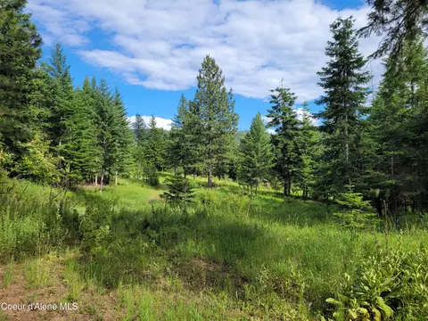 Nka S Skyview Rd, Harrison, ID 83833 photo 9