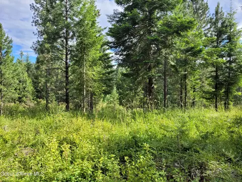 Nka S Skyview Rd, Harrison, ID 83833 photo 21