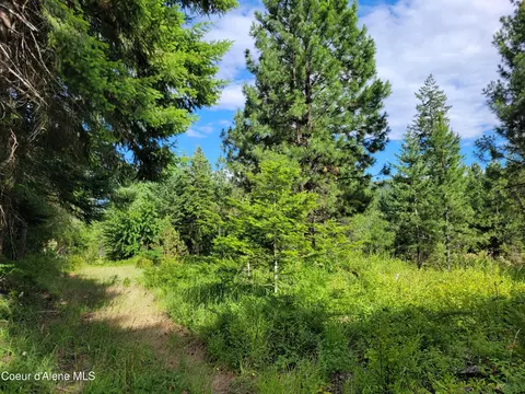 Nka S Skyview Rd, Harrison, ID 83833 photo 22