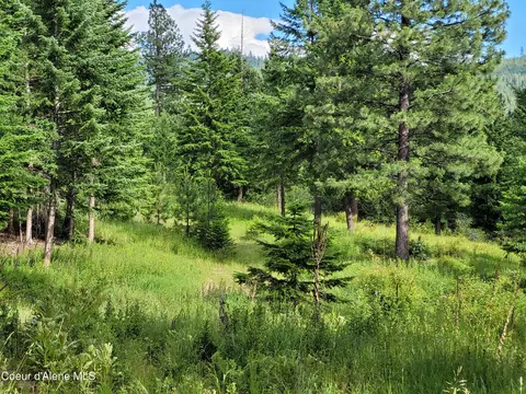 Nka S Skyview Rd, Harrison, ID 83833 photo 5