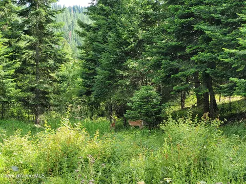 Nka S Skyview Rd, Harrison, ID 83833 photo 24