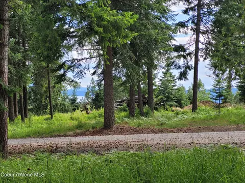 Nka S Skyview Rd, Harrison, ID 83833 photo 3