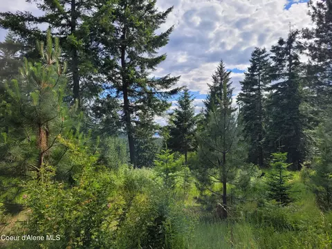Nka S Skyview Rd, Harrison, ID 83833 photo 23